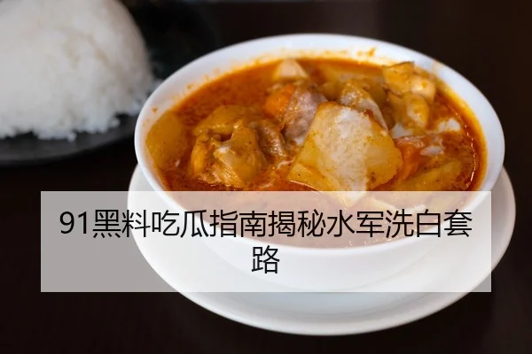 91黑料吃瓜指南揭秘水军洗白套路